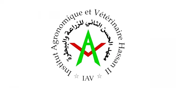Concours de recrutement IAV Hassan II 2022 (4 postes)