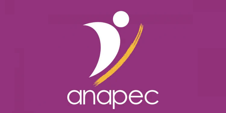 Anapec Recrutement Offre d'emploi Téléconseiller Débutant Maroc