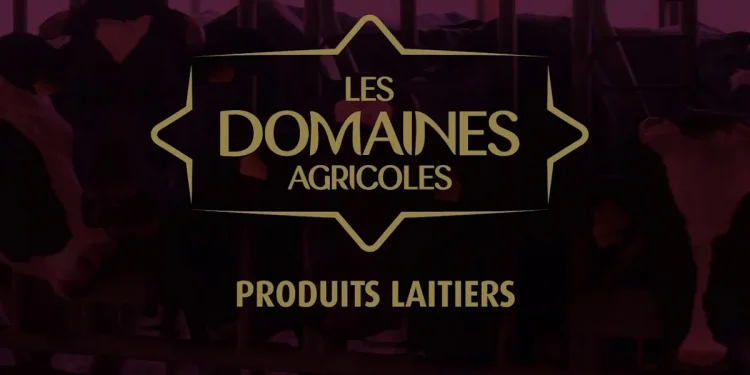 Les Domaines Agricoles recrute plusieurs profils
