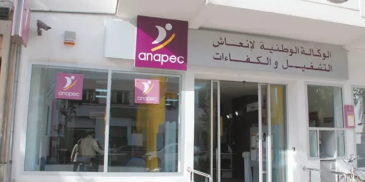 Adresse Email Agence Anapec Contact 2023