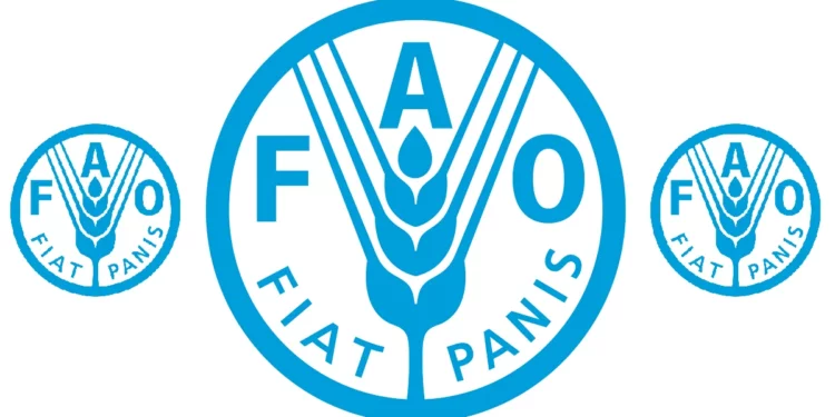 FAO Maroc recrute des Assistants
