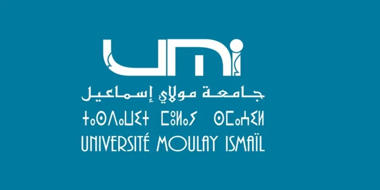 Concours Université Moulay Ismail 2023 (19 postes)
