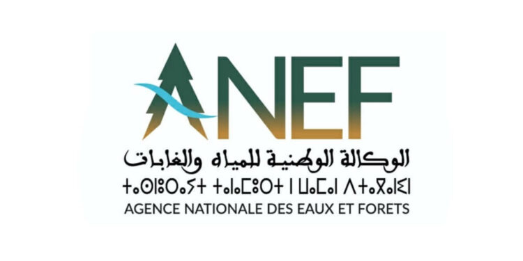 Concours Agence Nationale des Eaux et Forêts ANEF