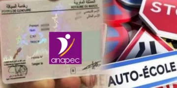 Anapec recrute des Chauffeurs 2025